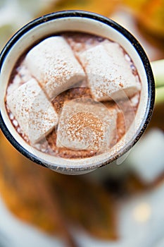 Hot chocolate with marshmallows