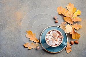 Hot Chocolate with Marshmallows and Autumn Leaves