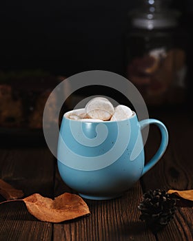 Hot chocolate with marshmallows in a ceramic cup