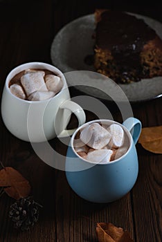 Hot chocolate with marshmallows in a ceramic cup