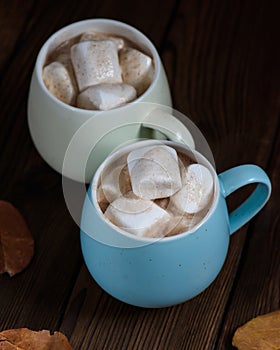 Hot chocolate with marshmallows in a ceramic cup