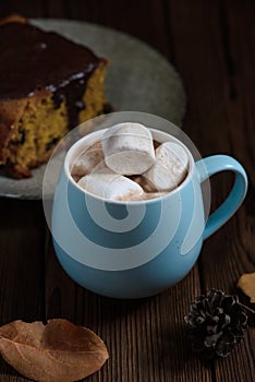 Hot chocolate with marshmallows in a ceramic cup