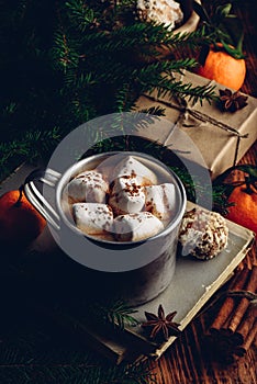 Hot chocolate with marshmallows and gingerbread