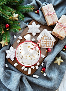 Hot chocolate with marshmallows and gingerbread cookies