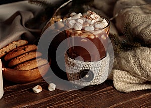 Hot chocolate with marshmallows in a glass, with a knitted cup holder. A blanket, a wooden bowl with cookies and fir