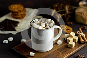 Hot chocolate with marshmallows in a white mug on a rusty background. Winter. Recipes