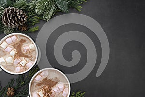 Hot chocolate mugs with marshmallows. Flat lay with fir branches. Gray background. Warm winter drink.