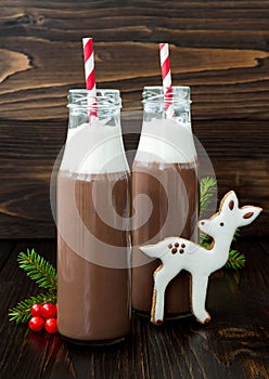 Hot chocolate with whipped cream in old-fashioned retro bottles with red striped straws. Christmas holiday drink and gingerbread