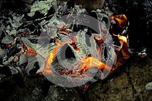 Hot coals from a burnt fire