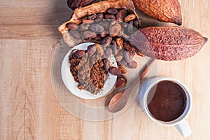 Hot cocoa cup with cocoa powder and cocoa beans on wooden background