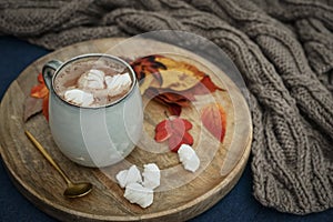 Hot cocoa with marshmallow and autumn colorful leaves