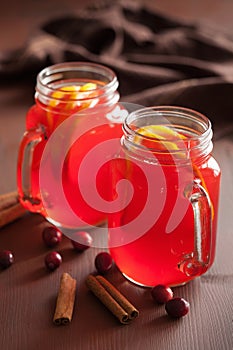 Hot cranberry tea with orange cinnamon warming drink