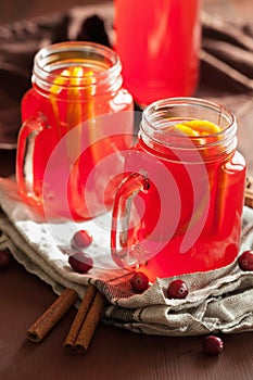 Hot cranberry tea with orange cinnamon warming drink