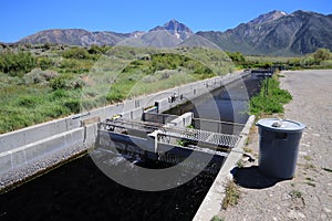 Hot Creek Fish Hatchery, Mono County, eastern California, USA