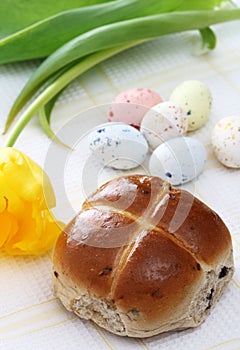 Hot cross bun, Speckled easter eggs tulip