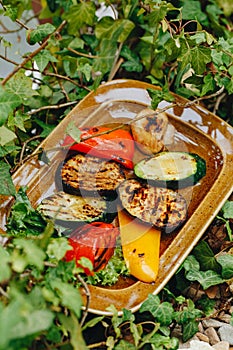 Hot delicious grilled vegetables on a brown ceramic plate on a plant background