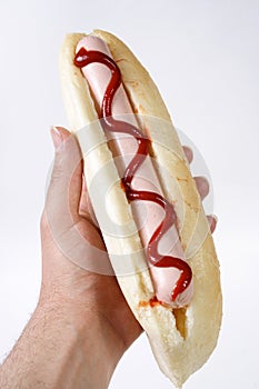 HOT DOG photo