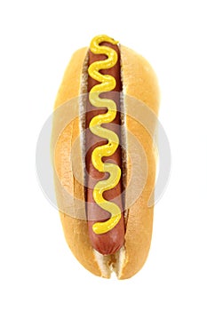 Hot Dog