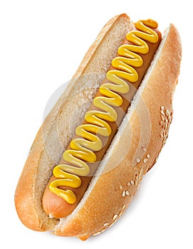 Hot Dog