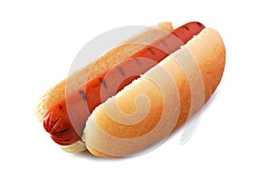 Hot dog with barbecue grill marks isolated on white