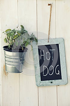 Hot Dog blackboard and pot with plant on wooden surface