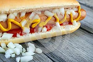 Hot dog closeup