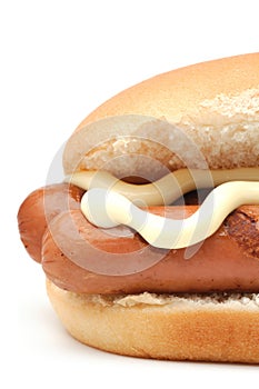 Hot Dog Closeup