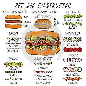 Hot Dog Constructor. Set of Fast Food Menu Ingredients. Hand Drawn High Quality Clean Realistic Vector Illustration