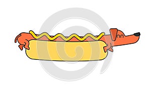 Hot dog dachshund and bun. Ketchup and mustard. Fast food pet