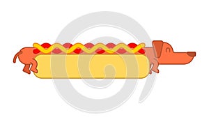 Hot dog dachshund and bun. Ketchup and mustard. Fast food pet