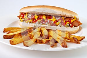 Hot dog with fries