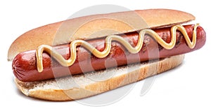 Hot dog - grilled sausage in a bun isolated on white background photo