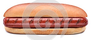 Hot dog - grilled sausage in a bun isolated on white background