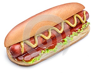 Hot dog - grilled sausage in a bun with sauces isolated on white background