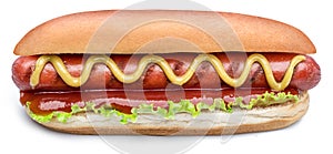 Hot dog - grilled sausage in a bun with sauces isolated on white background