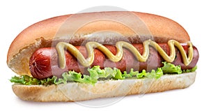 Hot dog - grilled sausage in a bun with sauces on white background. Clipping path
