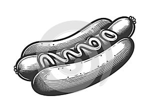 Hot Dog grilled sausage sketch raster photo