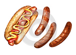 Hot dog and grilled sausages on white background. Watercolor illustration