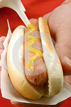 Hot dog in hand 2