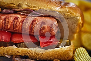 Hot dog -Hot sausage nested in a bun with cucumbers, red pepper and onions. On a dark background with chips. Fast food concept