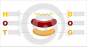 Hot dog infographics. Structure of fast food. Fresh bun.