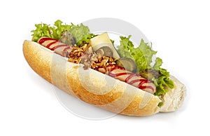 A hot dog isolated on a white background.
