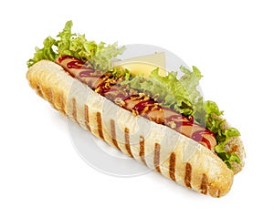 A hot dog isolated on a white background.