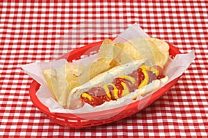 Hot Dog with Ketchup and Mustard in Basket