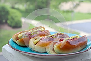 Hot dog with ketchup and yellow mustard on the plate. Food background
