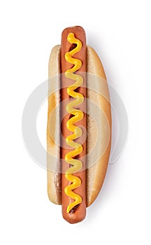 Hot dog with mustard on white