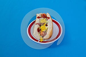 Hot dog on a plate isolated on a blue background