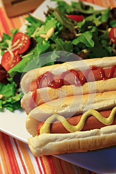 Hot dog and salad