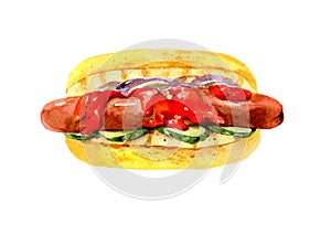 Hot dog with sausage, ketchup and pickles. Hand drawn watercolor illustration isolated on white background