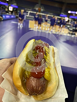 Hot Dog at Sporting event